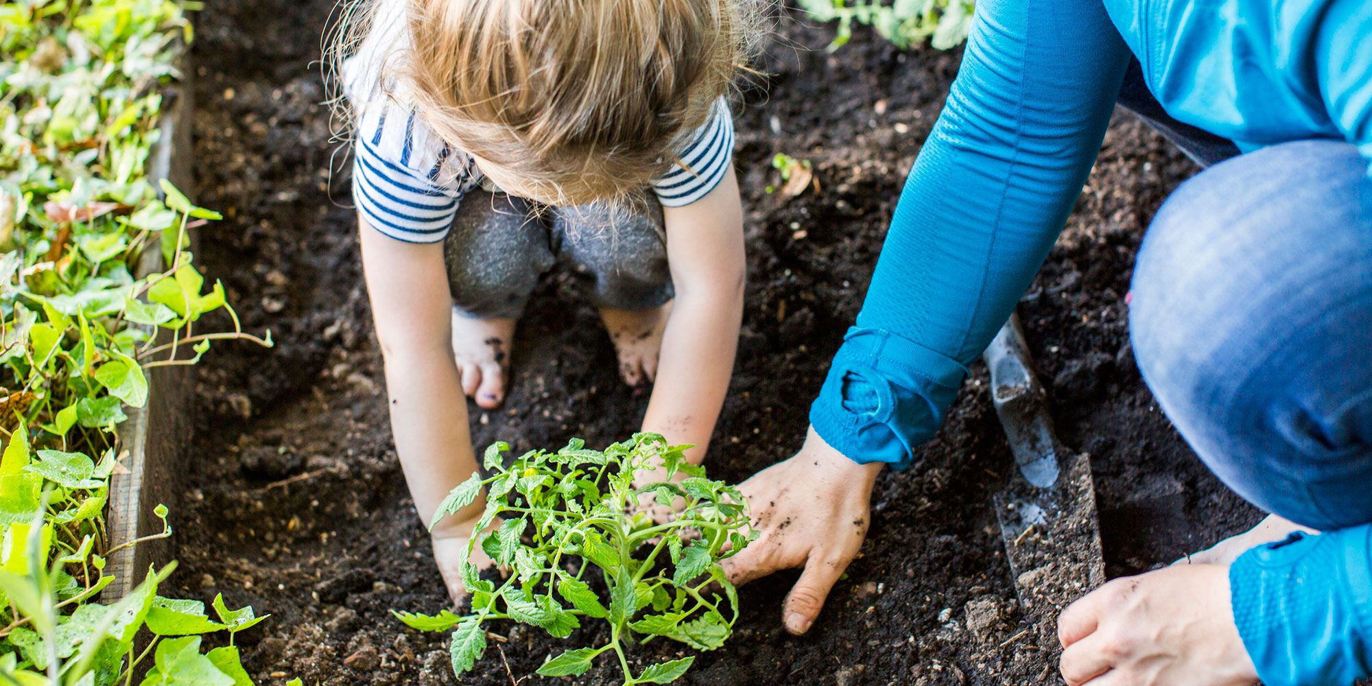 gardening family summer activities