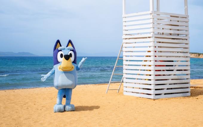 bluey