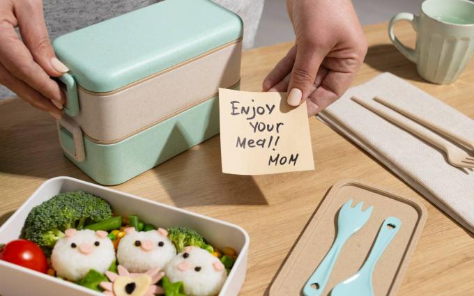 ΜΑΜΑΔΕΣ ΤΟΥ ΖΩΔΙΑΚΟΥ ΚΑΙ LUNCHBOXES