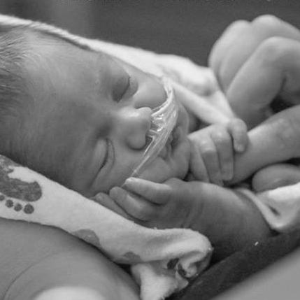 χταπόδια πρόωρα BOOM