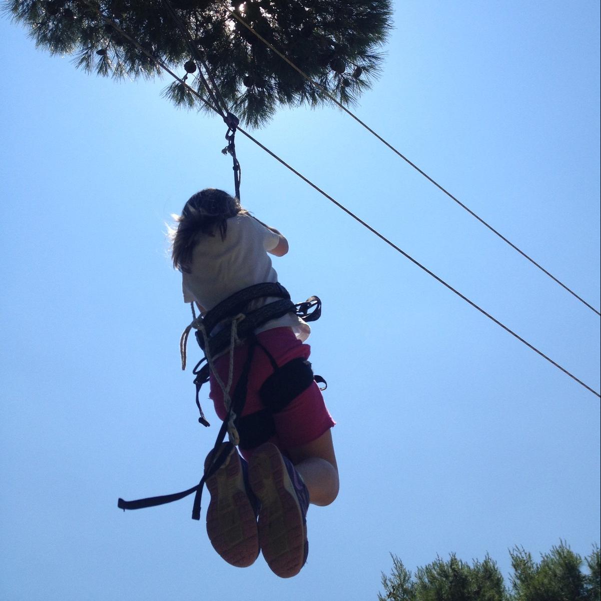 εκπαιδευτήρια γείτονα 