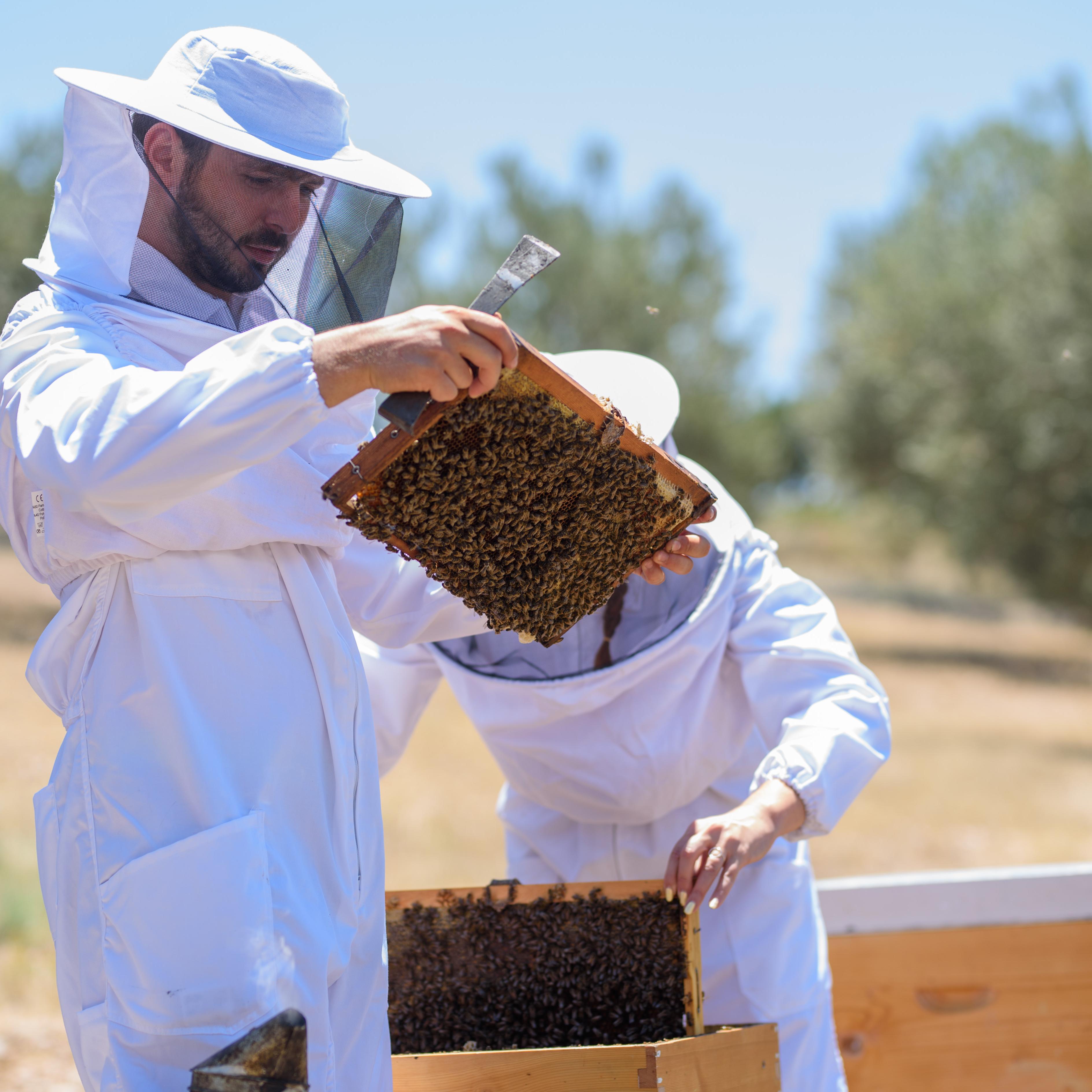 μουσείο μελιού