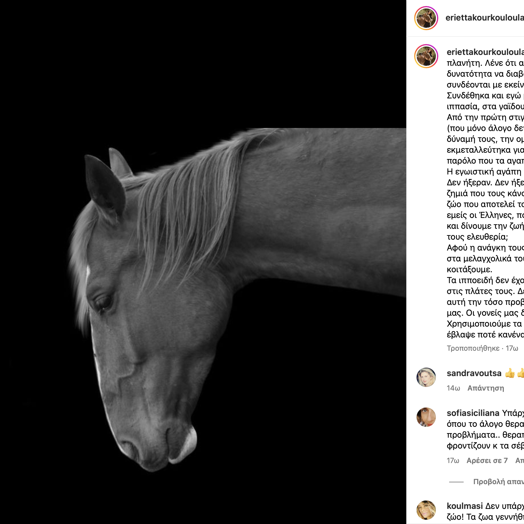θάνατος_αλόγου