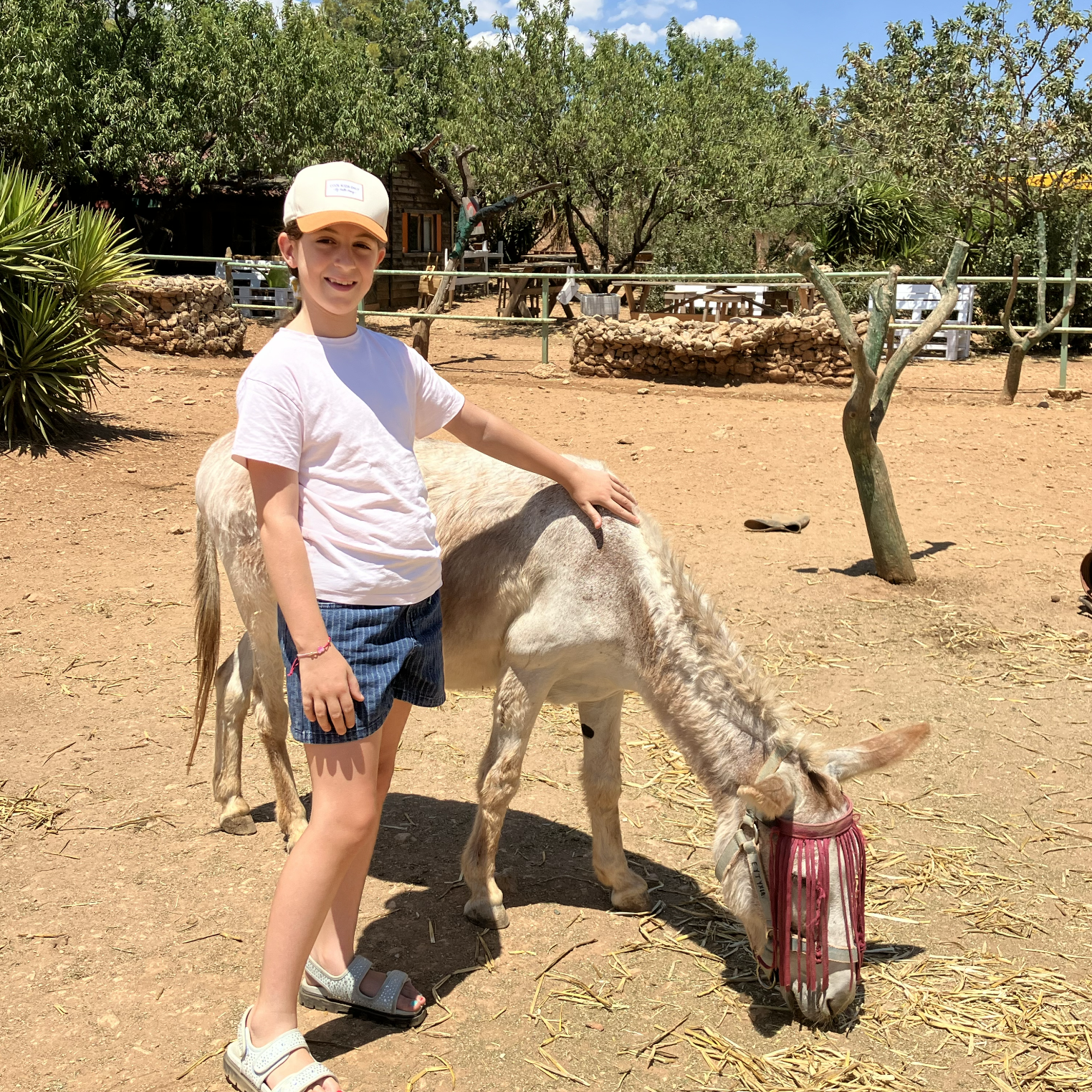 γαιδουροχώρα 