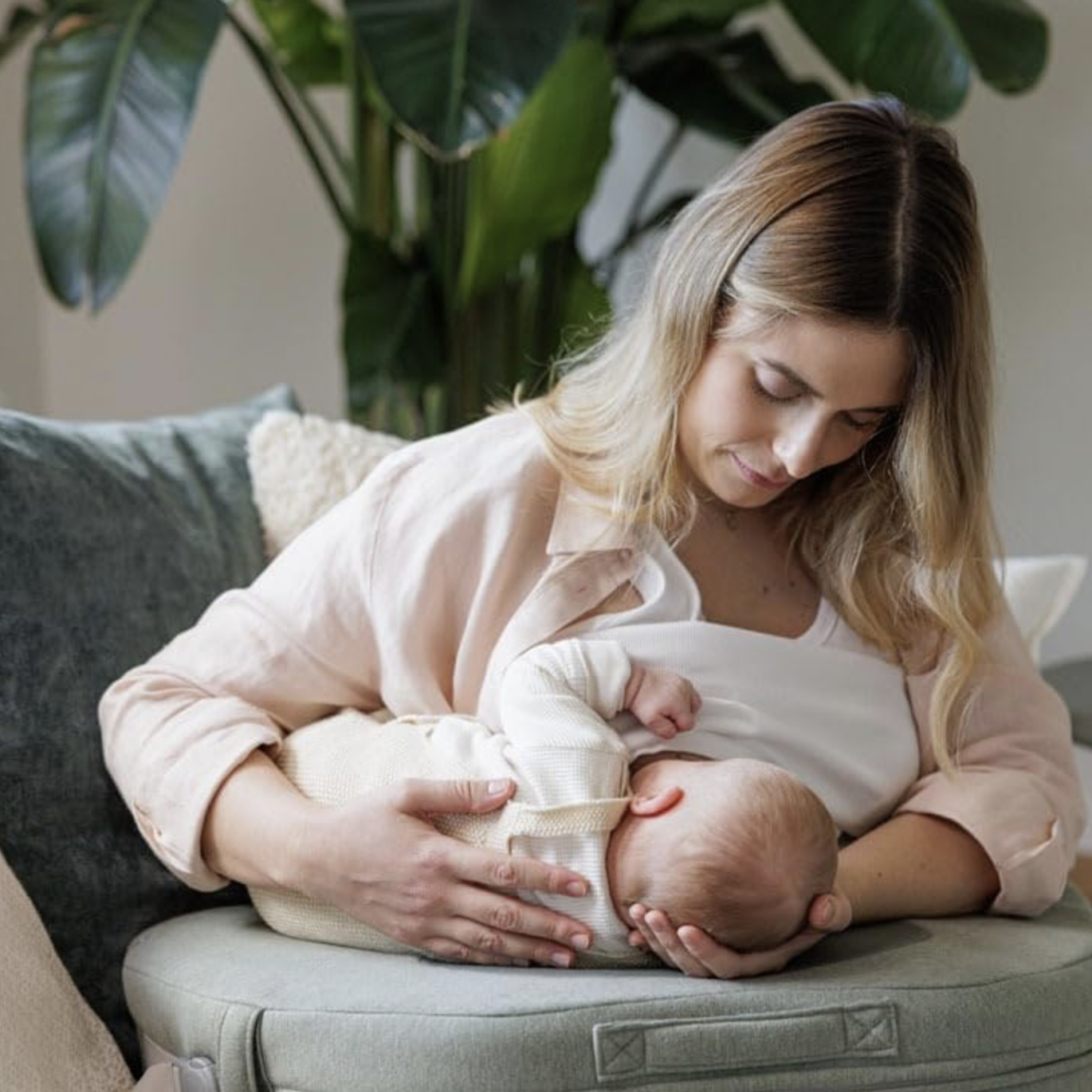 inglesina boom village 