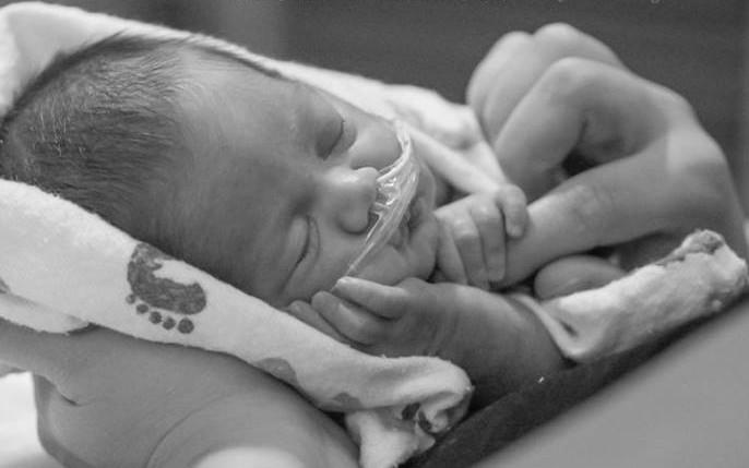 χταπόδια πρόωρα BOOM