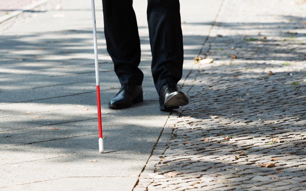  διεθνής ημέρα Λευκού Μπαστουνιού 