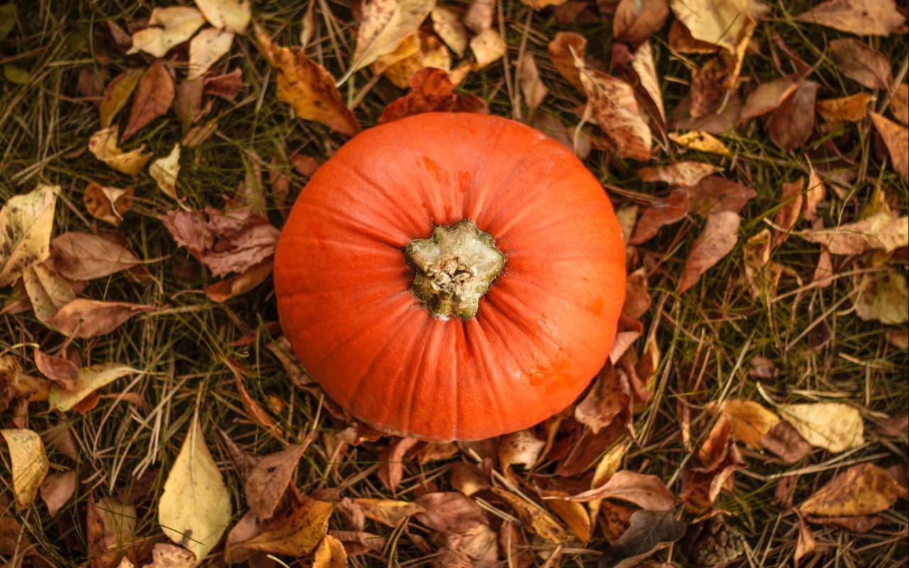 boom_pumpkin_recipes