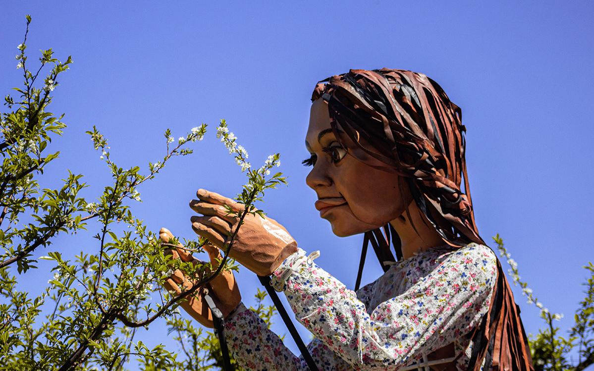 κούκλα αμάλ 
