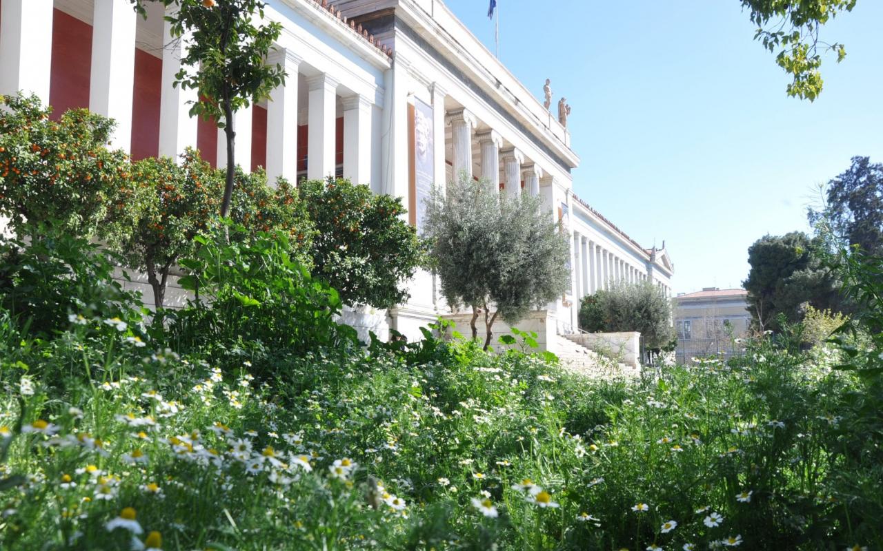 Εθνικό Αρχαιολογικό Μουσείο