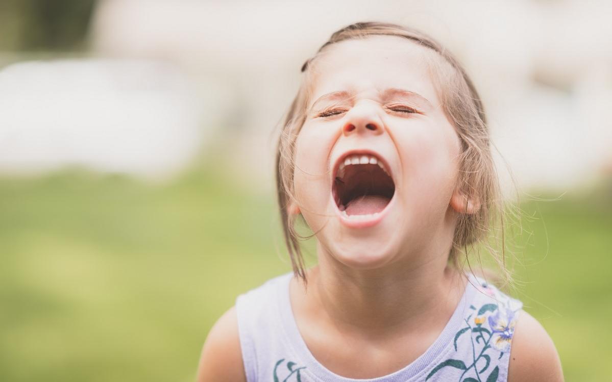 Επιθετική συμπεριφορά