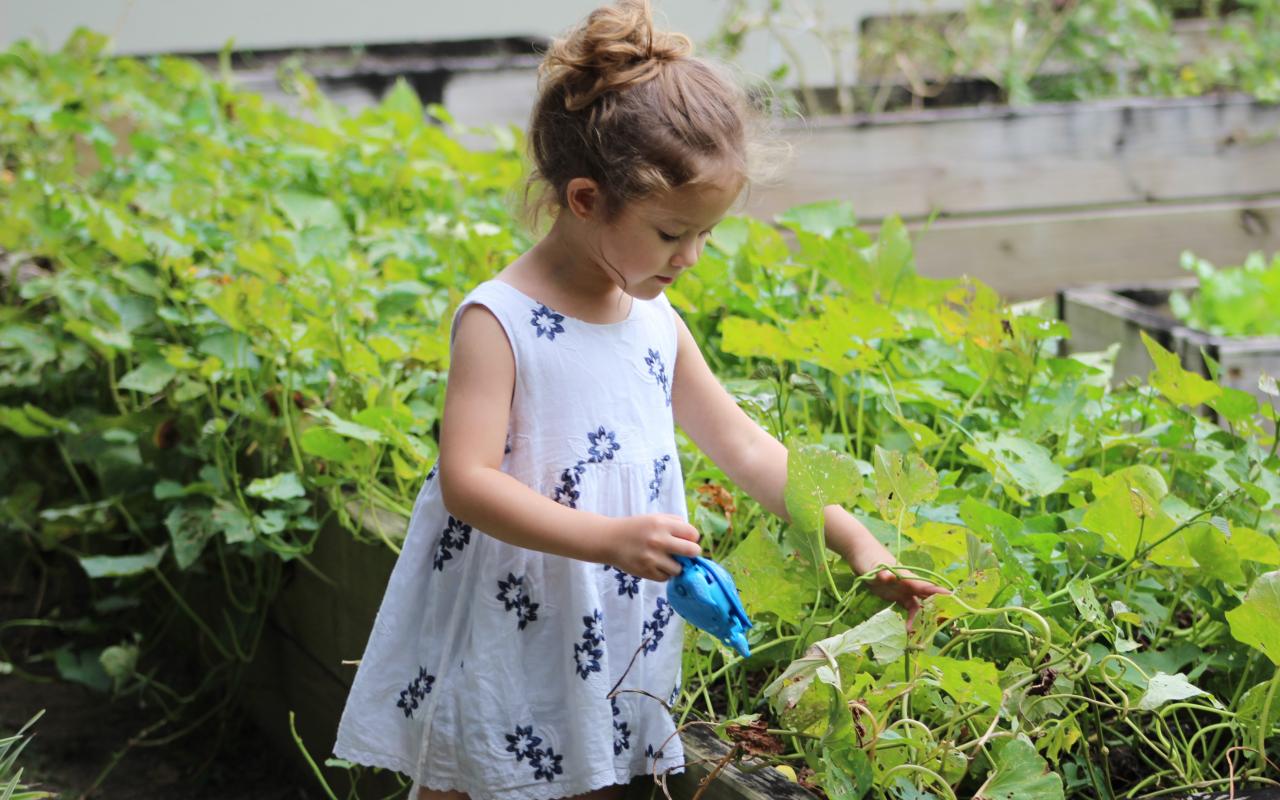 gardening, κηπουρική για παιδιά, δεξιότητες, σημαντικά οφέλη