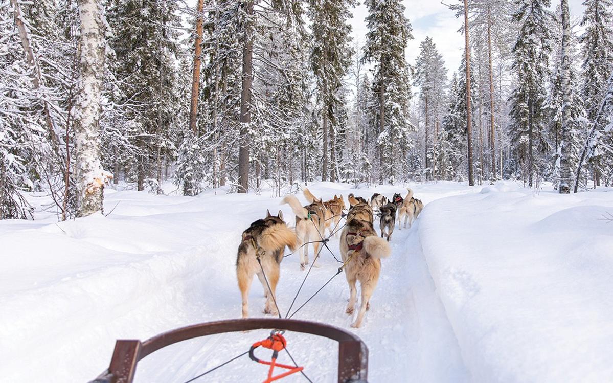 ταξίδι με παιδιά χριστούγεννα 