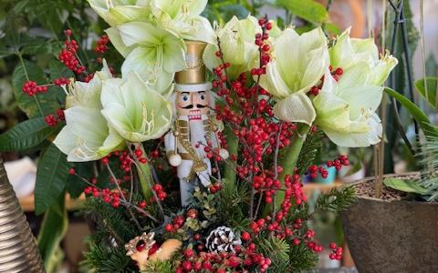 λουλούδια elaia ανθοπωλείο 