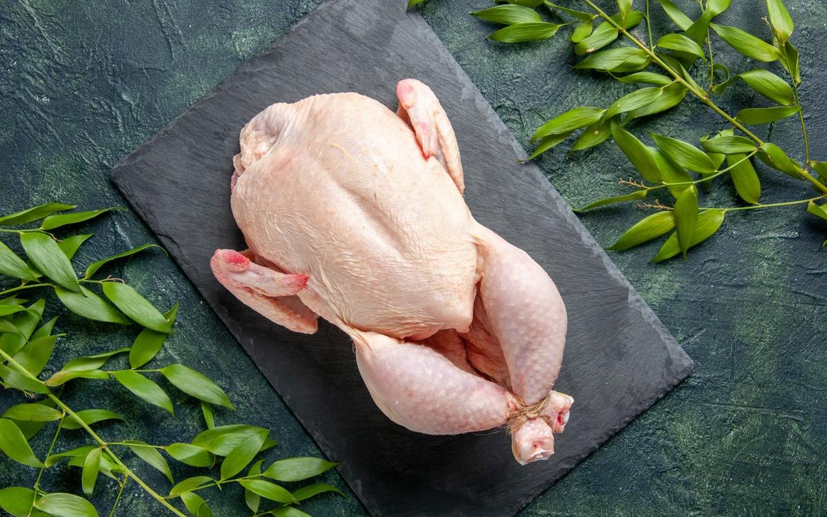 chicken