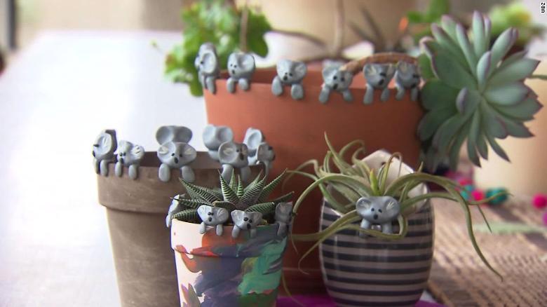 boommag-owen-koalas2