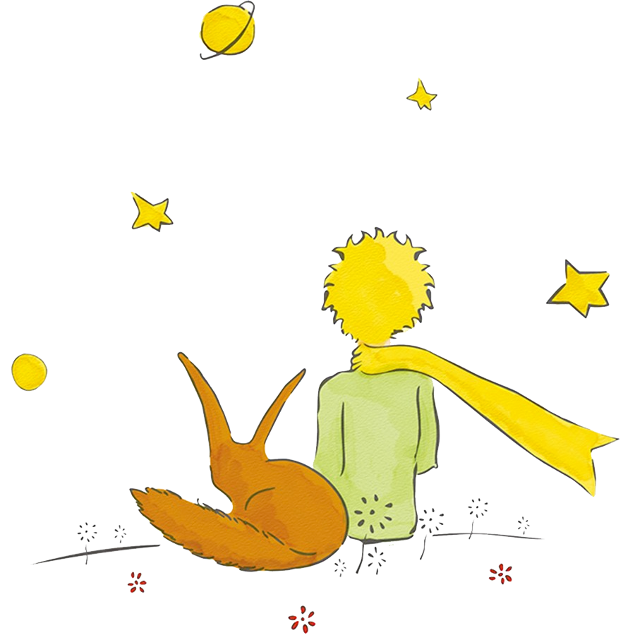 boommag-little-prince3