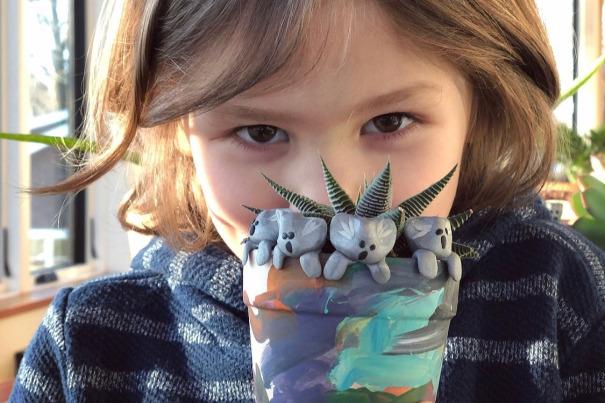 boommag-owen-koalas3