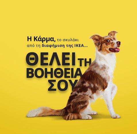 boom ikea save a greek stray 