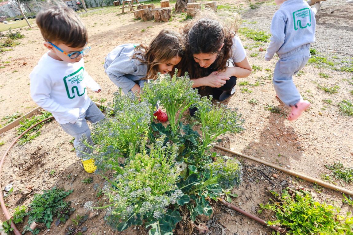 boom montessori community school απασχόληση στο σπίτι