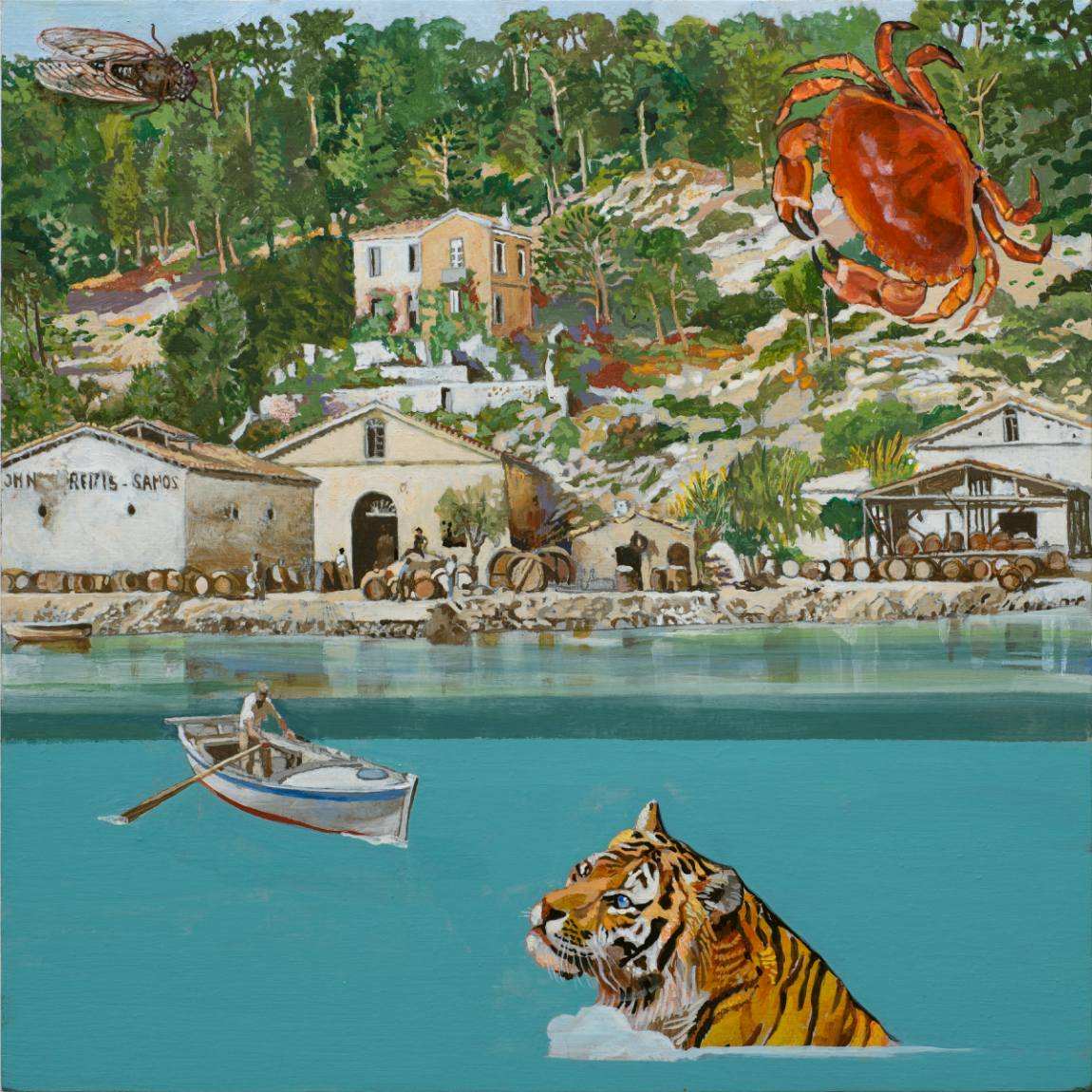 boom-kaplani-vitrinas