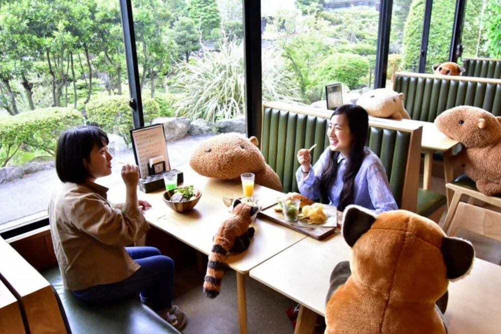 boom λούτρινα ζωάκια σε εστιατόριο Ιαπωνία